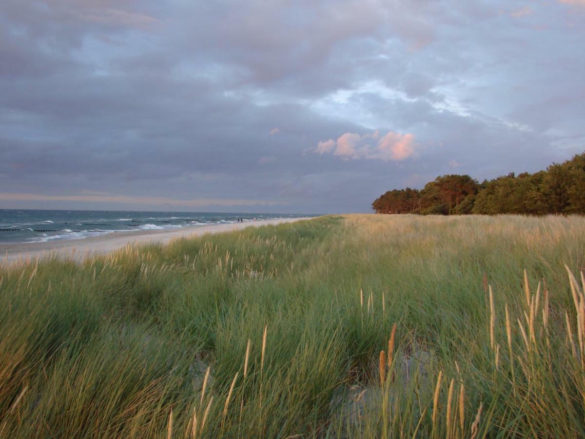 Ferienwohnung Am Strand زنغست المظهر الخارجي الصورة
